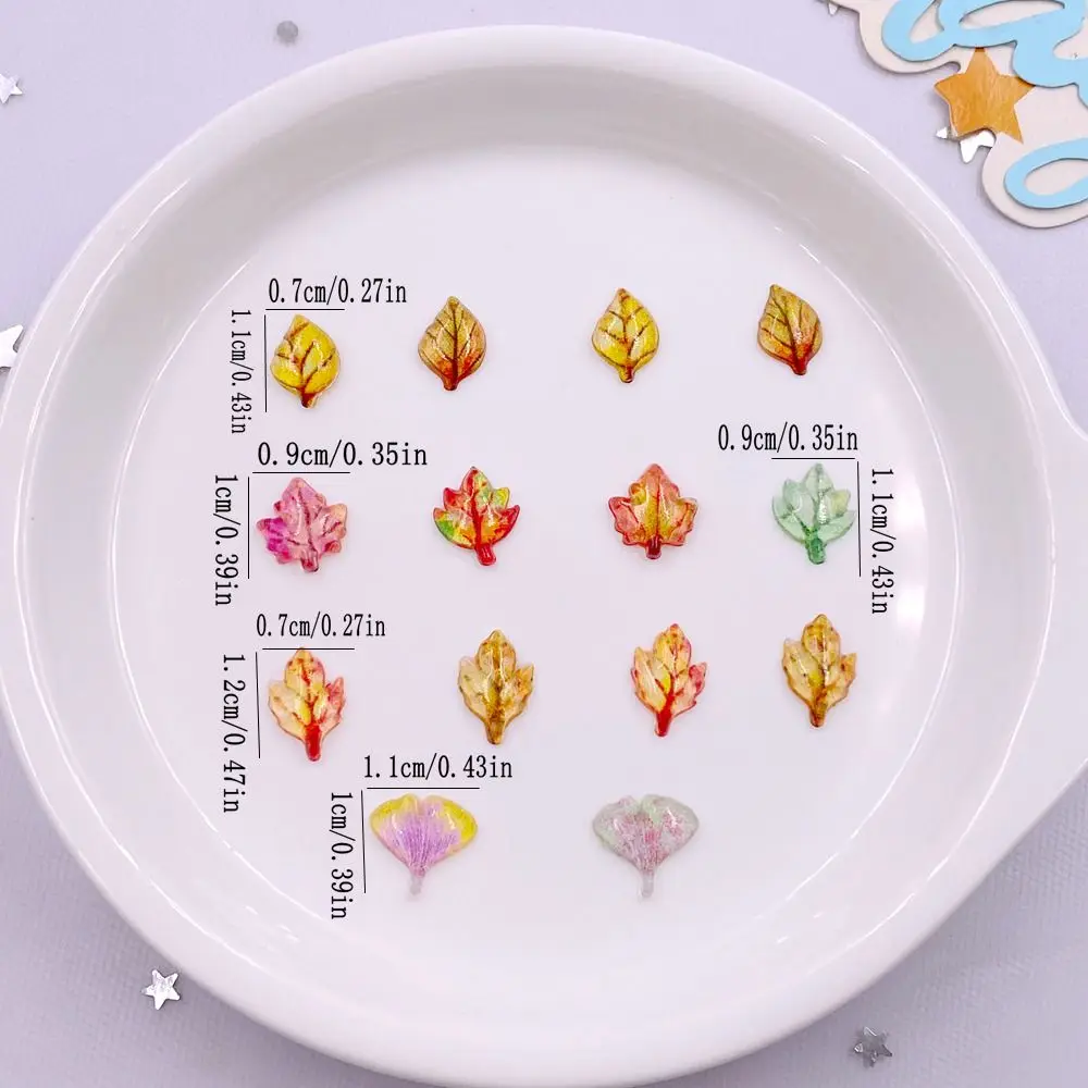 50pcs Mixed Resin Mini Crystal - Paradise Jewelry & Watches Llc Miami Photos 评论和价格